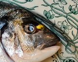 犬の手作りご飯: 魚で簡単に作れるレシピ作り方1写真