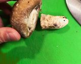 簡単○しいたけバター醤油ステーキ作り方2写真