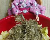 リカちゃん♡ねばる！春キャベツ漬物昆布✼作り方5写真