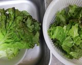 レタスのシャキシャキを取り戻す作り方1写真
