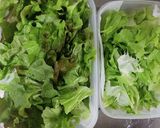 レタスのシャキシャキを取り戻す作り方3写真
