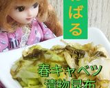 リカちゃん♡ねばる！春キャベツ漬物昆布✼作り方20写真