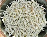 釜揚げシラスのぶっかけうどん作り方1写真