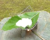 アボカドの葉炊飯作り方2写真