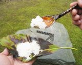 アボカドの葉炊飯作り方4写真