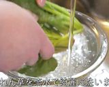 焼肉屋さんで食べた『ほうれん草のナムル』作り方1写真