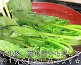 焼肉屋さんで食べた『ほうれん草のナムル』作り方3写真