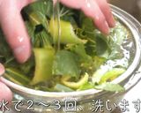 【材料たった２つ】『チンゲン菜』レシピ♬作り方3写真