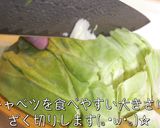 絶対に作って欲しい！『春キャベツ』レシピ作り方1写真