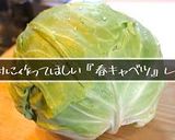 絶対に作って欲しい！『春キャベツ』レシピ作り方12写真