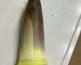 圧力鍋で作る　生のタケノコから　メンマ！作り方1写真
