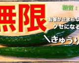 ♬ただ混ぜるだけ♬『無限ツナきゅうり』作り方10写真