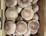 ふわとろ!椎茸カツ丼作り方7写真