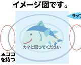【簡単‼】カマのレンジde酒蒸し作り方7写真