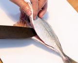 魚のさばき方 - アジでコツを掴む！作り方8写真
