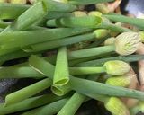 ネギ坊主のパルメザン炒め作り方5写真