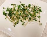 鯵の酢じめ（小肌）とオレンジのサラダ作り方1写真
