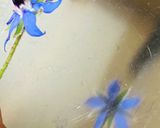 新玉ねぎとボリジのサラダ作り方4写真