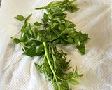 たらの芽の天ぷら作り方3写真