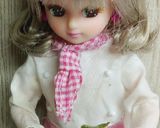 リカちゃん♡デコポンアイスプラントぽん酢作り方2写真