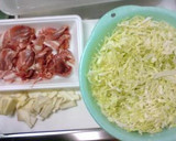 計量器いらず！簡単スピードお好み焼き☆作り方1写真