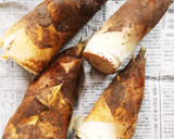 堀りたて竹の子で☆竹の子と昆布の煮物☆作り方1写真