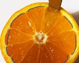 離乳食 みかん作り方5写真