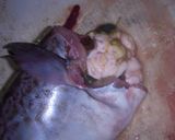 白子の味噌汁作り方1写真