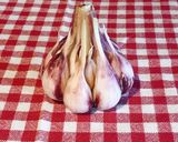 たけのこ味噌　簡単！ご飯が進む作りおき♪作り方4写真