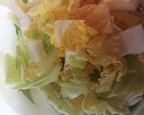 白菜の中華風サラダ作り方1写真
