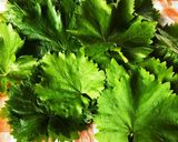 トルコ料理•葡萄の葉のハーブライス包み作り方1写真