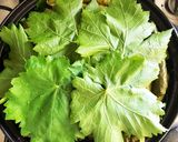 トルコ料理•葡萄の葉のハーブライス包み作り方7写真