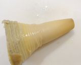 生たけのこの下処理作り方6写真