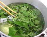 モロヘイヤ茹で方作り方3写真