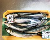 イワシ糠炊き・鰯の床炊きお酒のお供に！作り方1写真