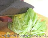 【超簡単】春キャベツ♬大量消費にピッタリ作り方1写真