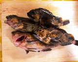カサゴの塩麹味噌漬け作り方1写真