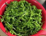 香りと食感が楽しめるコゴミの浅漬け作り方1写真