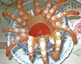 ハレの日には豪華シュリンプカクテルを！作り方7写真