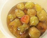 発酵器で時短「梅シロップ」作り方6写真