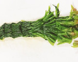 ほうれん草のおひたしナムル風作り方5写真