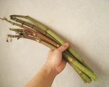 イタドリ茶作り方1写真