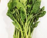 ほうれん草のおひたしナムル風作り方9写真