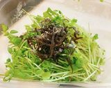 簡単混ぜるだけ✩豆苗と塩昆布のナムル作り方1写真