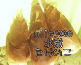 簡単 時短 大量 たけのこ 茹で方作り方7写真