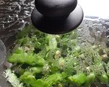 【野菜ソムリエ】３種のマメマメサラダ作り方4写真