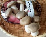 【野菜ソムリエ】本しめじソースハンバーグ作り方10写真