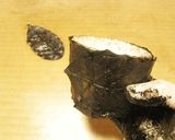 コーヒー X コーヒー作り方3写真