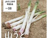 山うどのきんぴらおにぎり作り方6写真