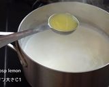ラムレーズン カッサータ作り方20写真